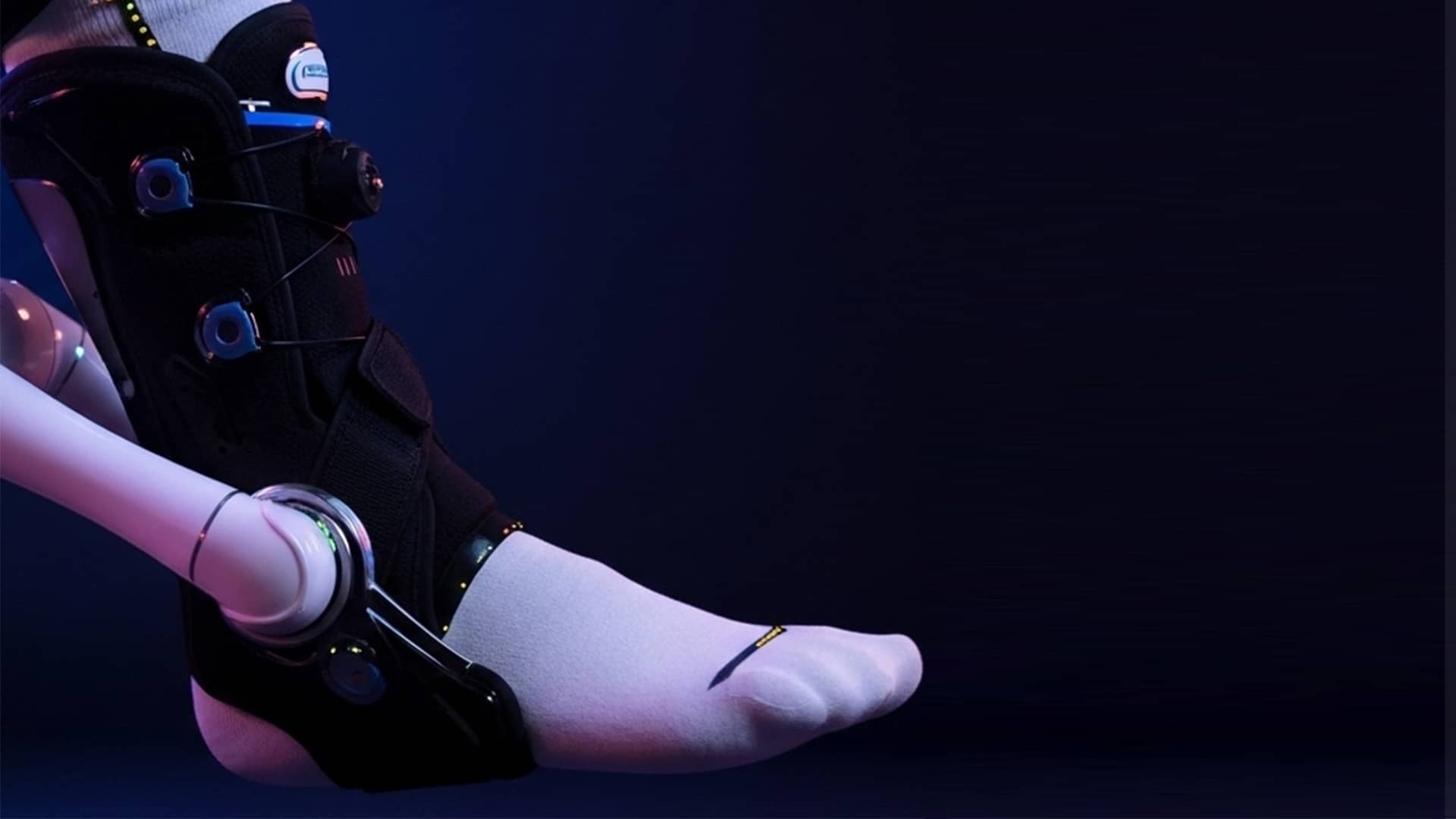 Ankle-AI Ankle Dorsiflexion / Plantarflexion